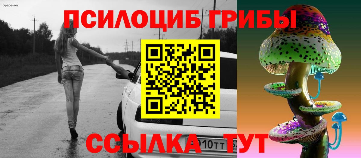 Севастополь  Галлюциногенные грибы Psilocybe  Вход с VPN 